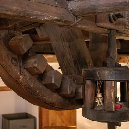 Apartamento Moinho Monte Adão *